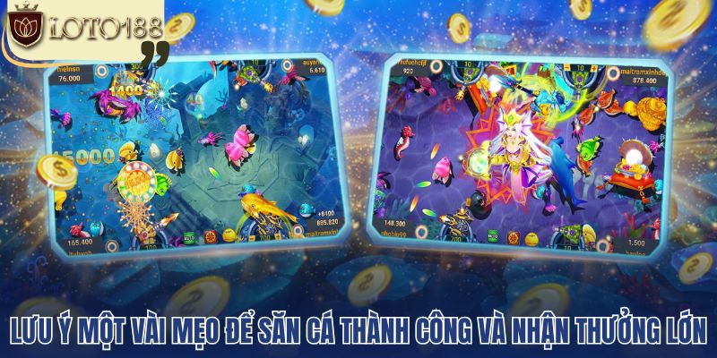 Lưu ý một vài mẹo để săn cá thành công và nhận thưởng lớn