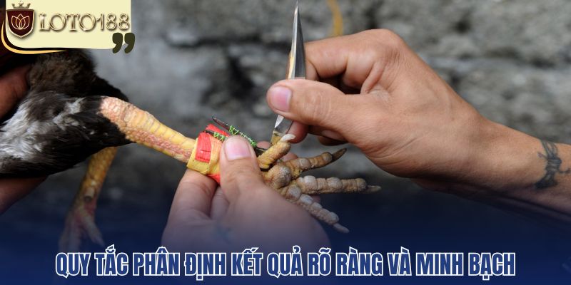 Quy tắc phân định kết quả rõ ràng và minh bạch