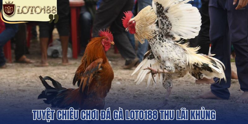 Tuyệt chiêu chơi đá gà Loto188 thu lãi khủng